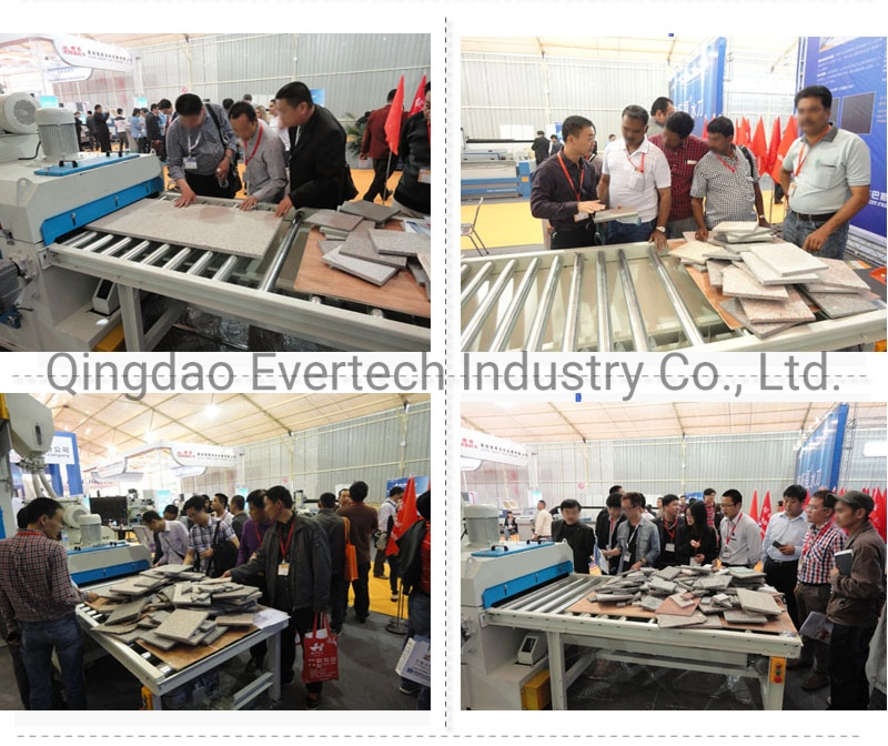 Roller Conveyor Stone Marble Granite Shot Blasting Machine for Sale